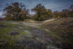 Heath hills in autumn - Heidehügel im Herbst
