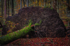 Mourners - Trauergemeinde